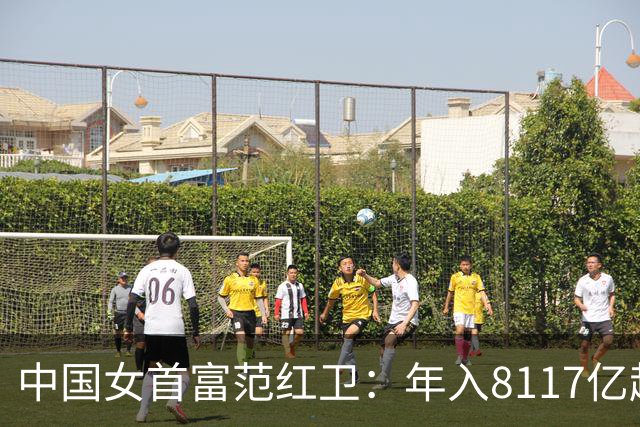 中国女首富范红卫：年入8117亿超华为成第3民企，她从哪来的钱？