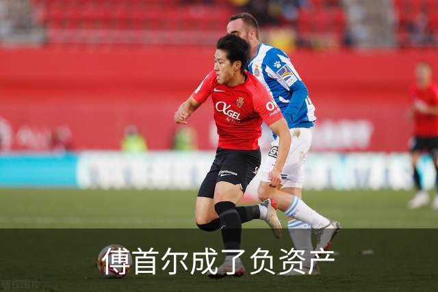 傅首尔成了负资产