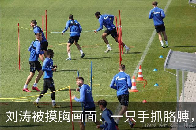 刘涛被摸胸画面：一只手抓胳膊，一只手顶住她的胸！