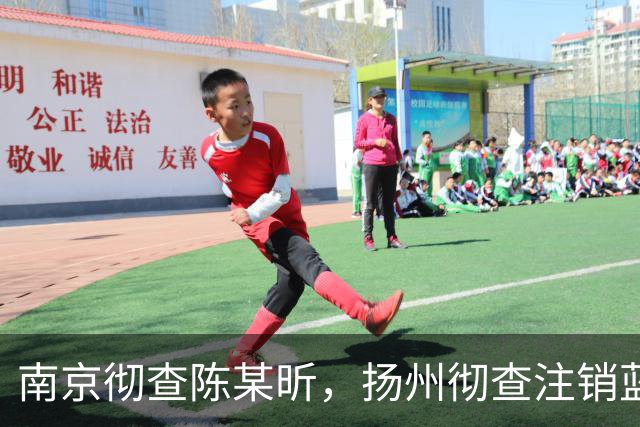 南京彻查陈某昕，扬州彻查注销蓝V！双线出击，汤家凤继续爆料