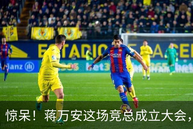 惊呆！蒋万安这场竞总成立大会，靠的竟然是洪孟楷那一句五万人！