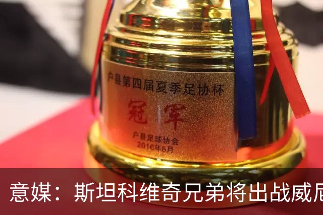 意媒：斯坦科维奇兄弟将出战威尼斯对国米比赛，二人首次对阵