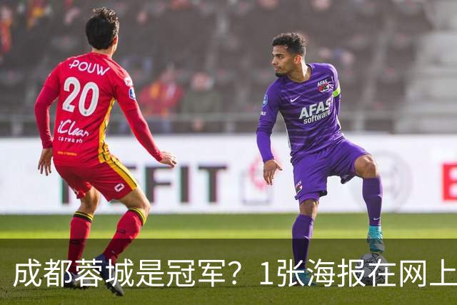 成都蓉城是冠军？1张海报在网上热传：5支中超球队共同托起大连英博冠军梦
