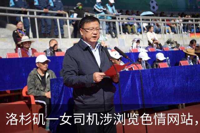 洛杉矶一女司机涉浏览色情网站，差点酿成致命车祸