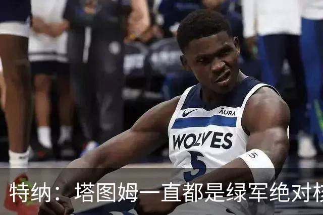 特纳：塔图姆一直都是绿军绝对核心 双探花老大之争不符现实