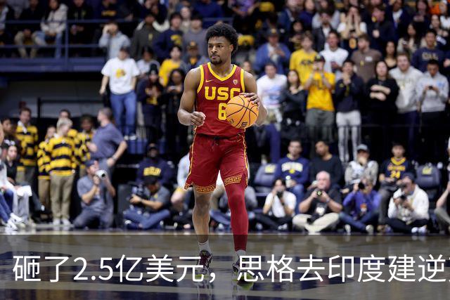 砸了2.5亿美元，思格去印度建逆变器储能厂，要给自己留足后路与筹码