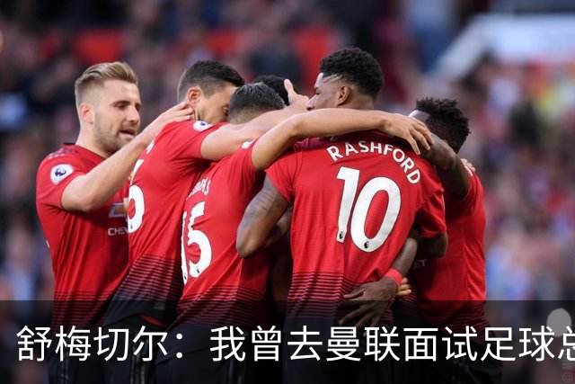 舒梅切尔：我曾去曼联面试足球总监，感觉只是在走过场