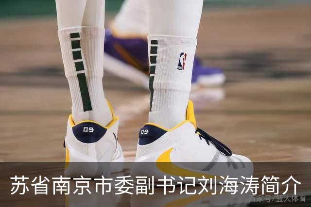 苏省南京市委副书记刘海涛简介