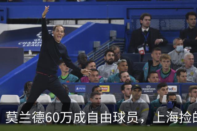 莫兰德60万成自由球员，上海捡的不是宝，是一个35岁中锋的止损点