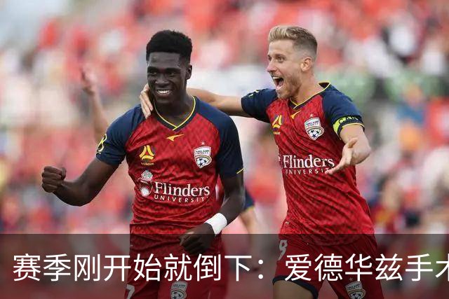 赛季刚开始就倒下：爱德华兹手术，雷霆两将同日重伤