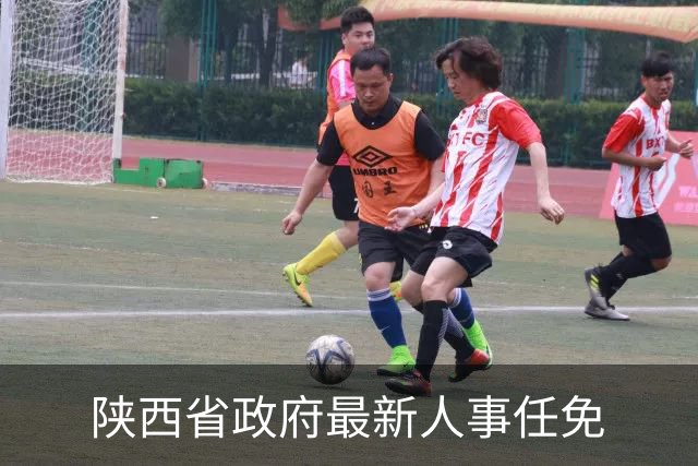 陕西省政府最新人事任免