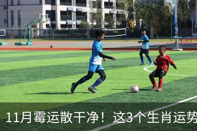 11月霉运散干净！这3个生肖运势提升一大截，机会挨个上门