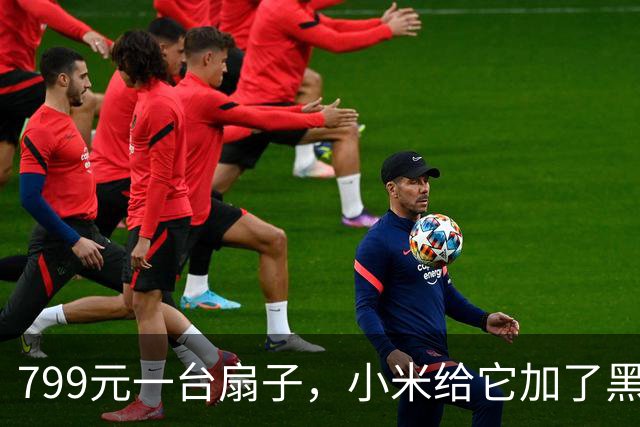 799元一台扇子，小米给它加了黑灰两色
